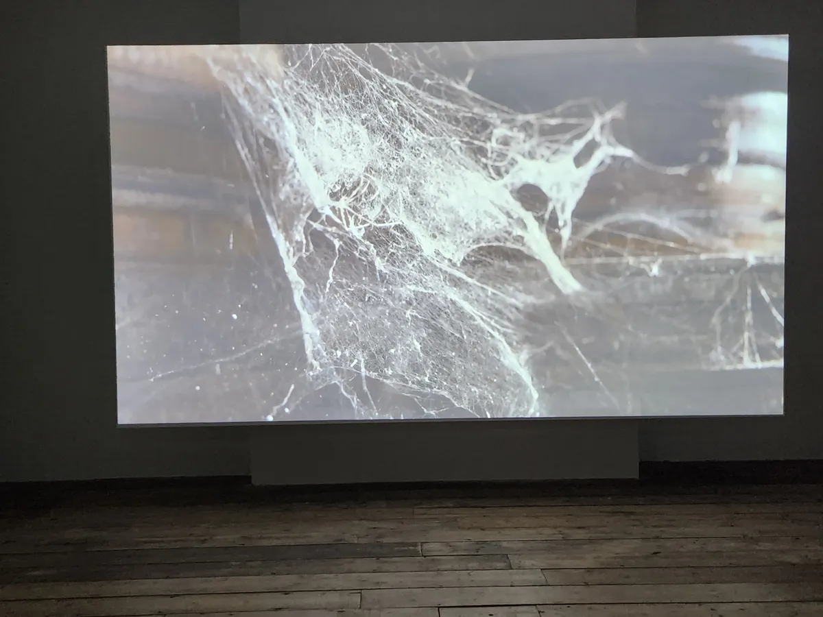 Lagos, Peckham Repeat Gallery Image 42